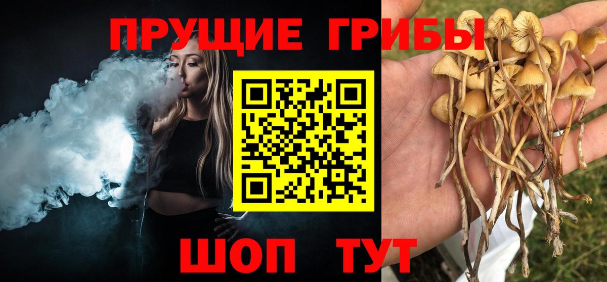 Назарово  Псилоцибиновые грибы прущие грибы  купить  цена  Вход с VPN 